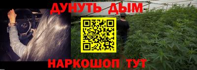сатива Ангарск