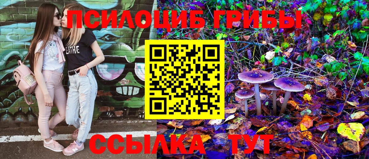 Галлюциногенные грибы Cubensis  Вход с VPN  Псков 