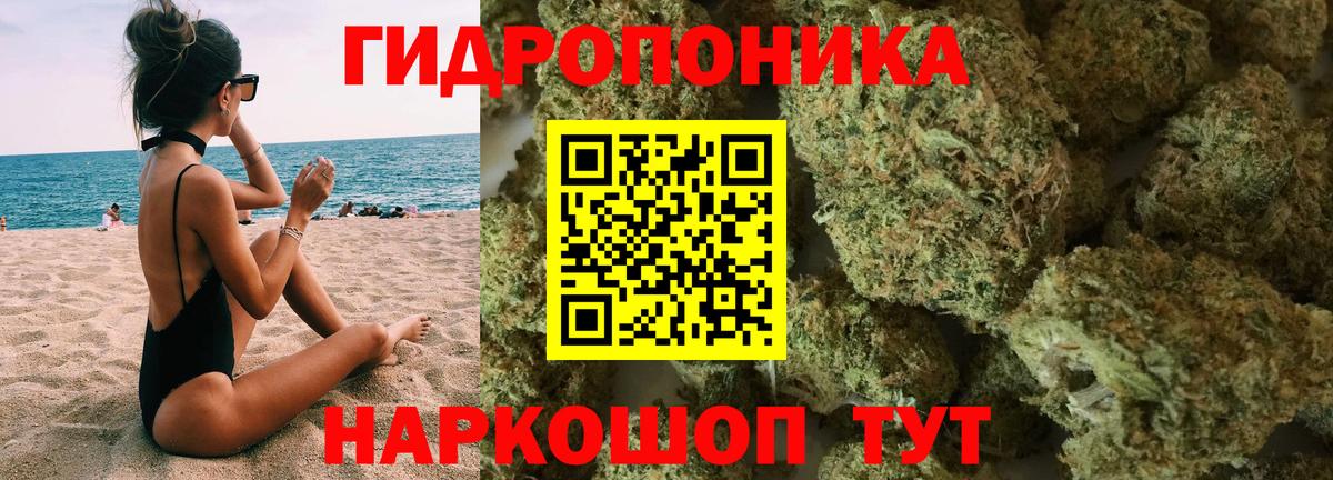 Канабис Ganja  Канабис семена  Каннабис семена  Каннабис SATIVA & INDICA  Псков  Вход с VPN 